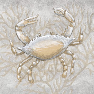 Drawing Nautical Crab by Patti Bishop canvas print