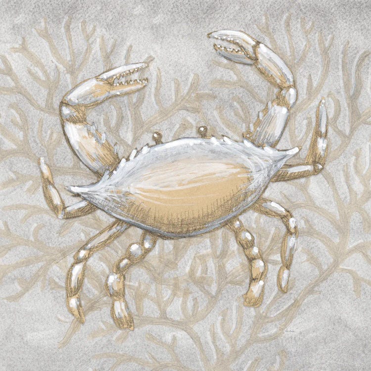 Drawing Nautical Crab