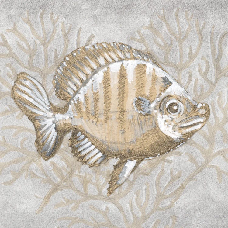 Drawing Nautical Fish I by Patti Bishop wall art