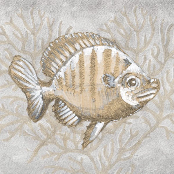 Drawing Nautical Fish I