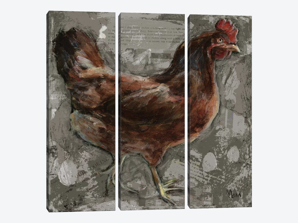 Red Hen by Patti Mann 3-piece Canvas Artwork