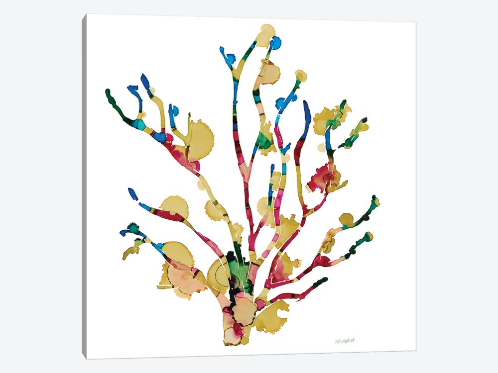 Sea Coral III by Patti Mann 1-piece Canvas Art Print