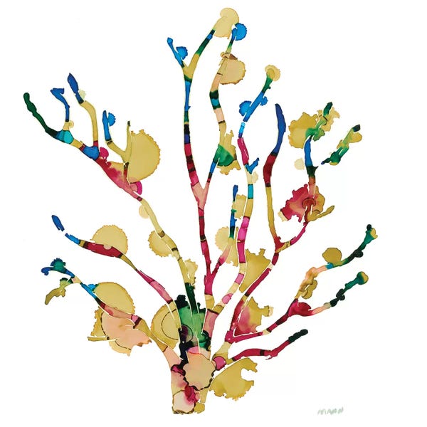 Kids Ocean Life Art: Sea Coral III by Patti Mann