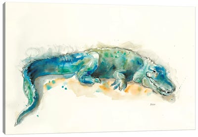 Alligator Canvas Art Print - Reptile & Amphibian Art