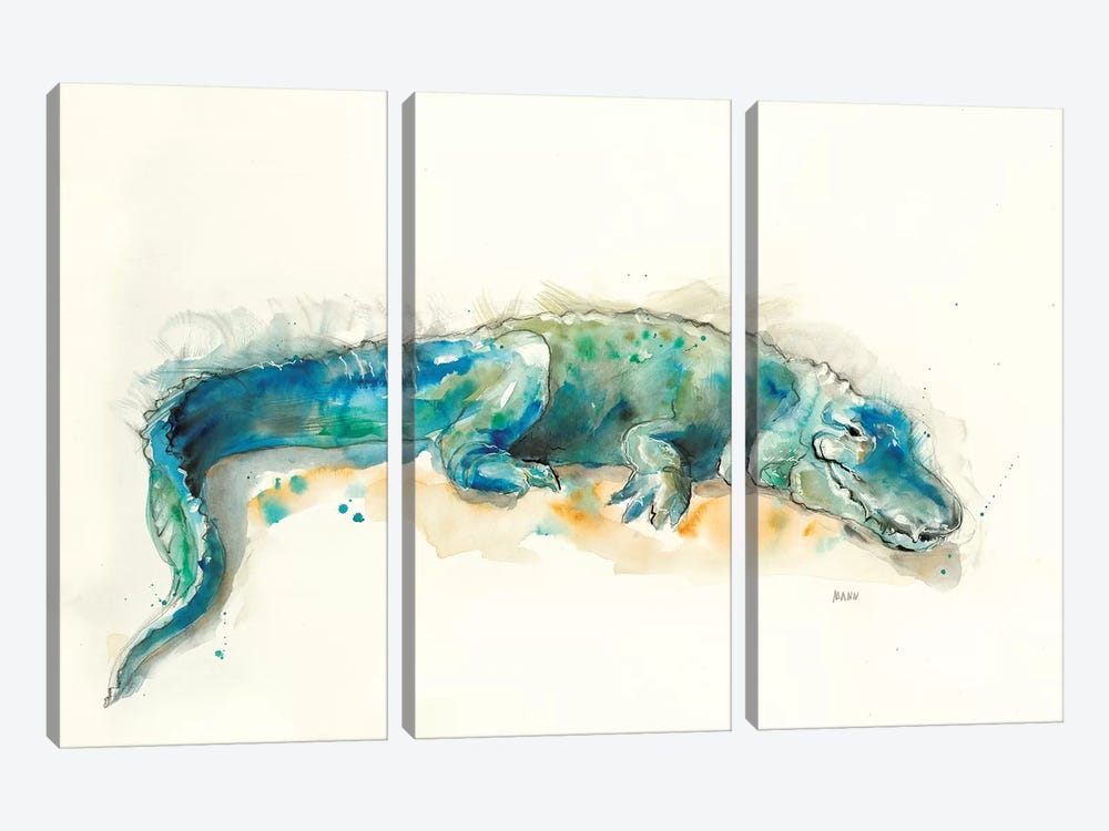 Alligator by Patti Mann 3-piece Art Print