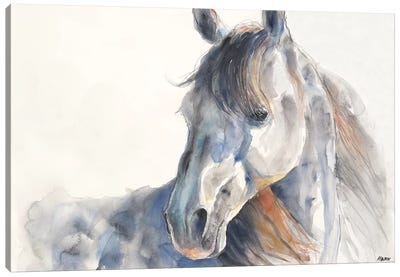 Looking Back Canvas Art Print - Horse Art