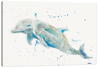 Dolphin Canvas Art Print