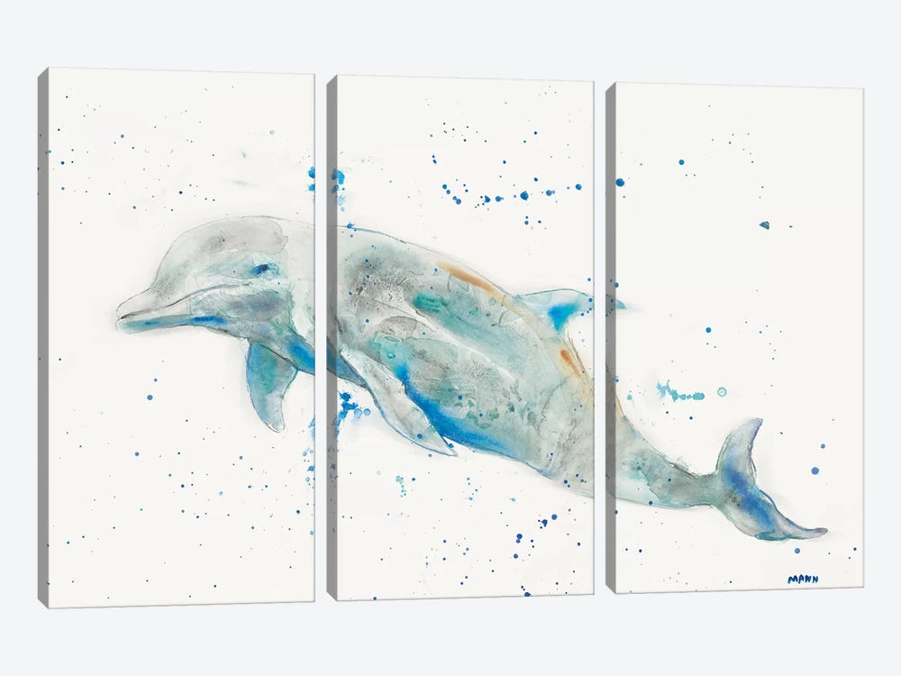 Dolphin by Patti Mann 3-piece Canvas Art Print