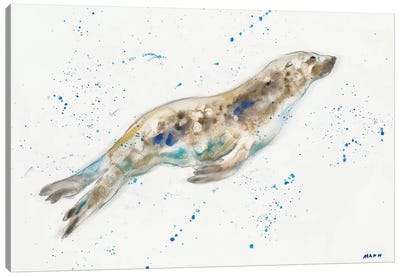 Seal Canvas Art Print