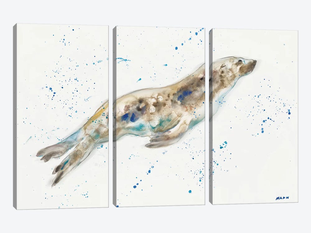 Seal by Patti Mann 3-piece Canvas Art Print