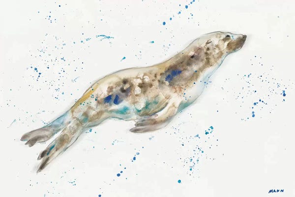 Kids Bathroom: Seal by Patti Mann