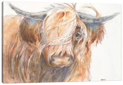 Windswept Canvas Art Print - Highland Cow Art