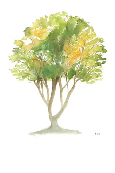 L'Arbre  I by Patti Mann framed wall art