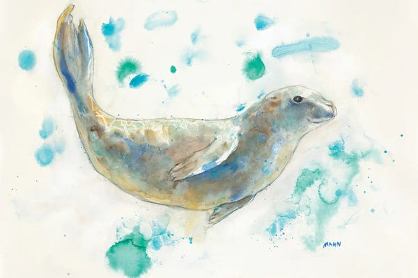 Seals: Ocean Freedom by Patti Mann