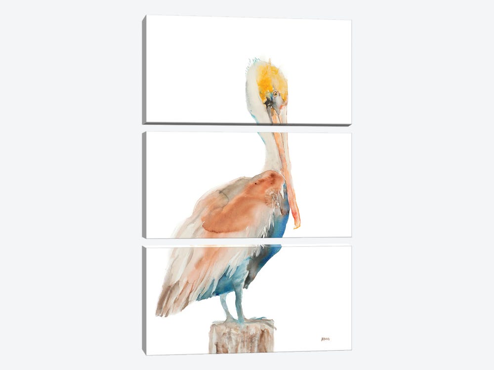 Pelican I by Patti Mann 3-piece Art Print