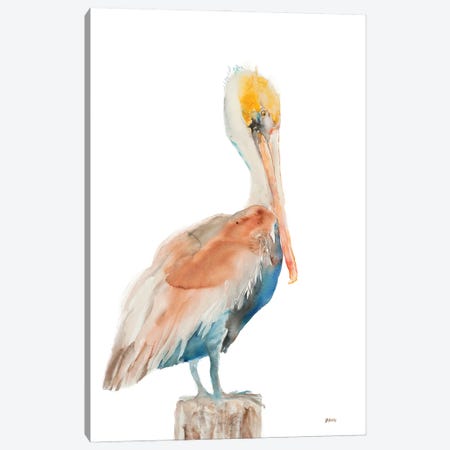 Pelican I Canvas Print #PTM35} by Patti Mann Canvas Wall Art