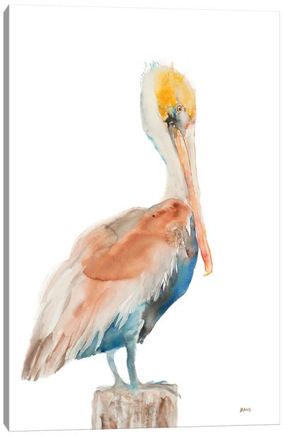 Pelican I Canvas Art Print - Pelican Art