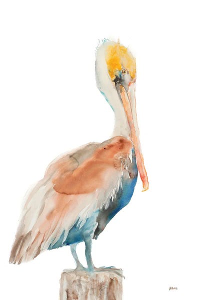 Nautical Living Room: Pelican I by Patti Mann