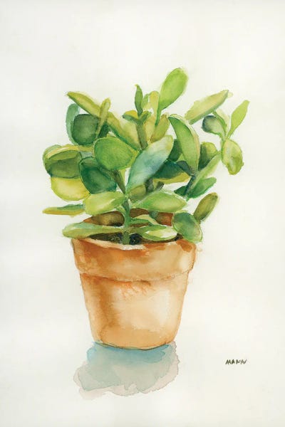 Succulent I by Patti Mann framed wall art