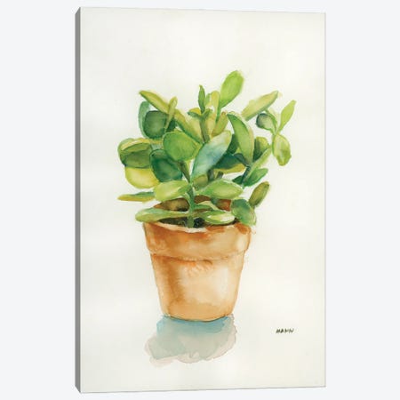 Succulent I Canvas Print #PTM38} by Patti Mann Canvas Print