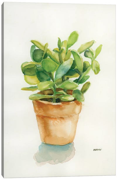 Succulent I Canvas Art Print