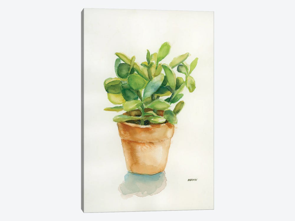 Succulent I by Patti Mann 1-piece Canvas Artwork