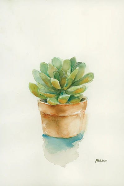Succulent II by Patti Mann framed wall art