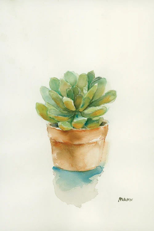 Succulent II