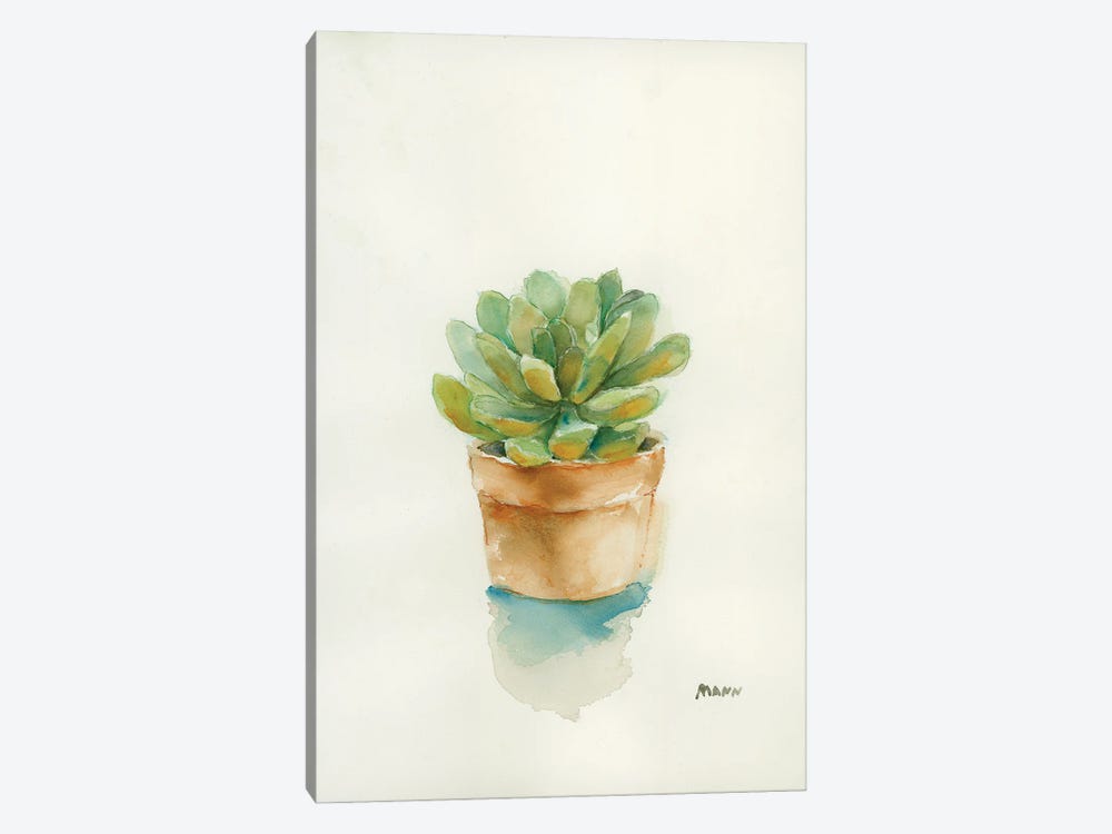 Succulent II by Patti Mann 1-piece Art Print
