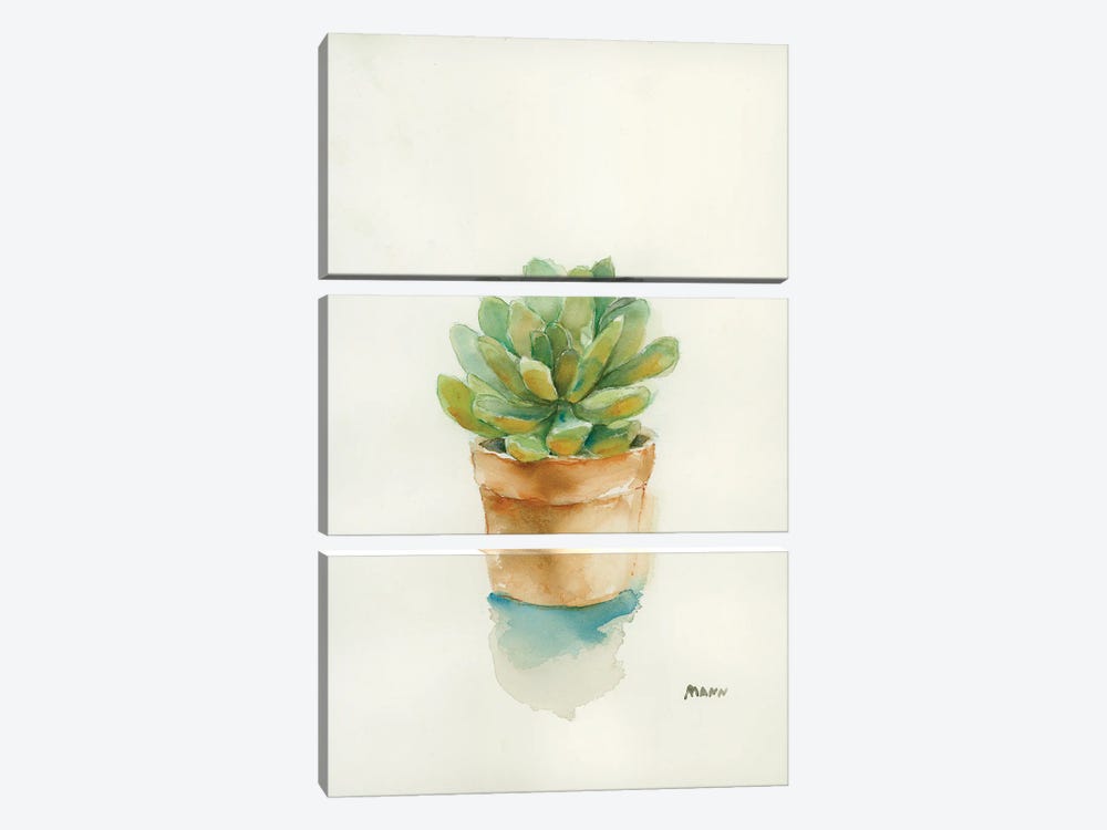 Succulent II by Patti Mann 3-piece Art Print