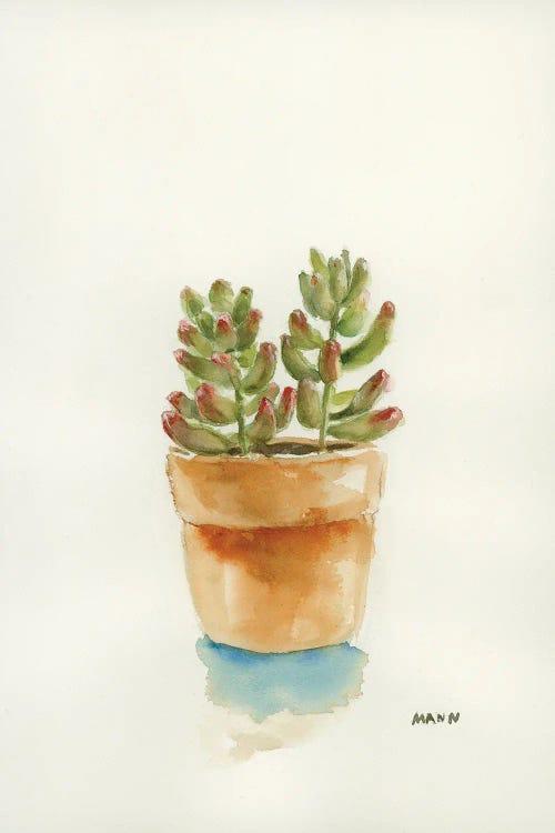 Succulent III