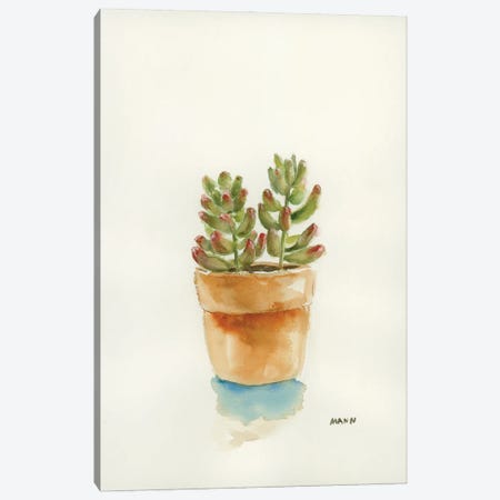 Succulent III Canvas Print #PTM40} by Patti Mann Canvas Artwork