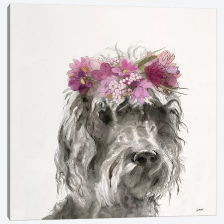Flowered Pup I Canvas Print #PTM7} by Patti Mann Canvas Art