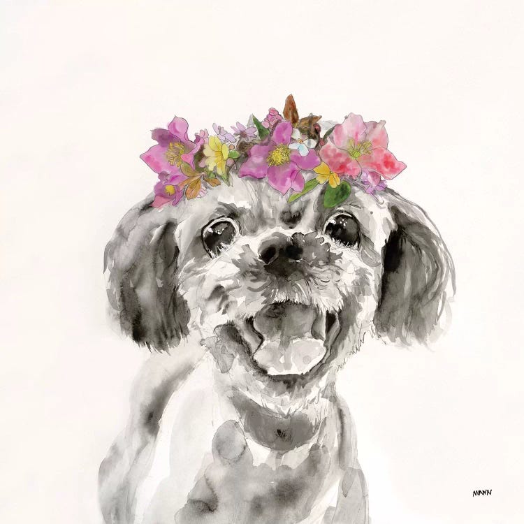 Flowered Pup II