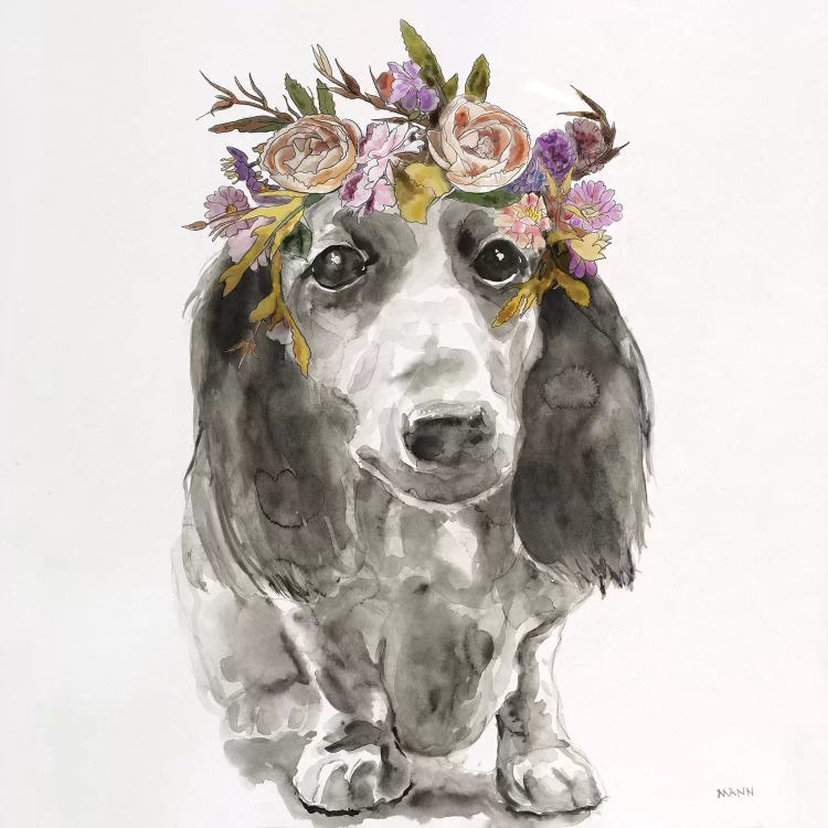 Flowered Pup III