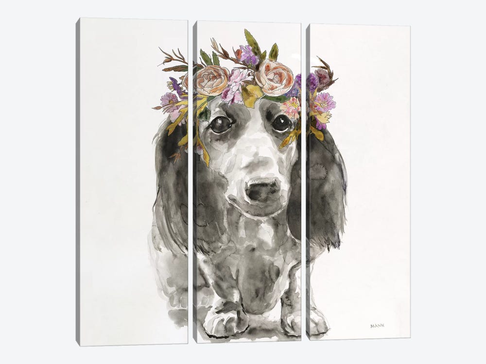 Flowered Pup III by Patti Mann 3-piece Canvas Print