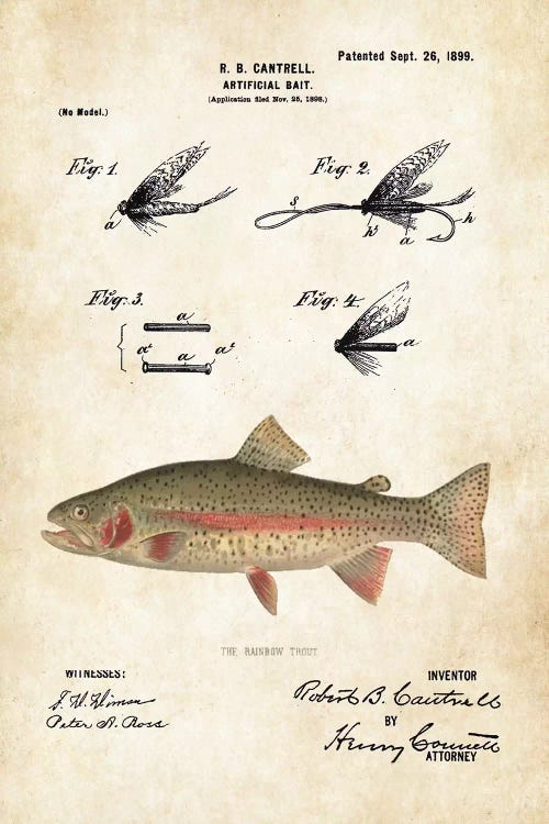 Rainbow Trout Fishing Lure by Patent77 wall art