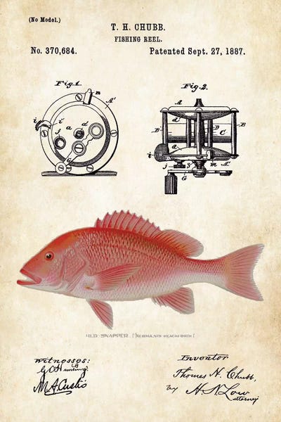 Sports Blueprints: Red Snapper Fishing Lure by Patent77