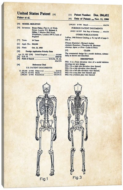Skeleton Canvas Art Print - Medical & Dental Blueprints