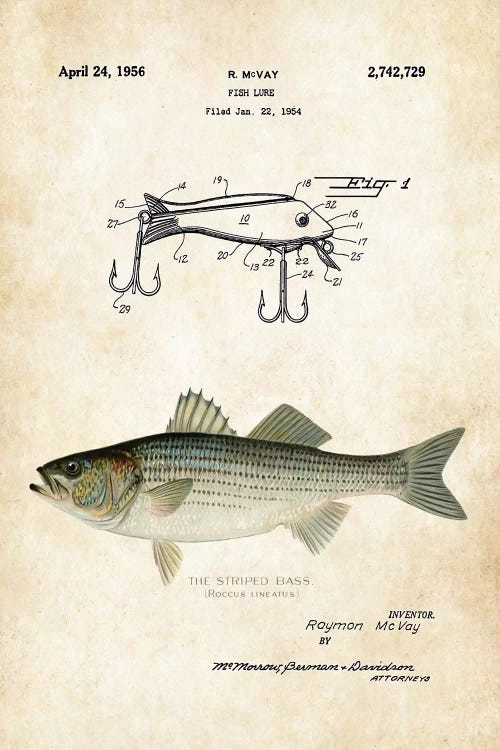 Striped Bass Fishing Lure Canvas Art Print by Patent77
