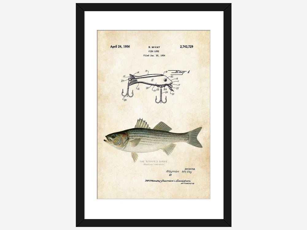 Striped Bass Fishing Lure ( Animals > Sea Life > Fish > Bass art) - 24x16x1