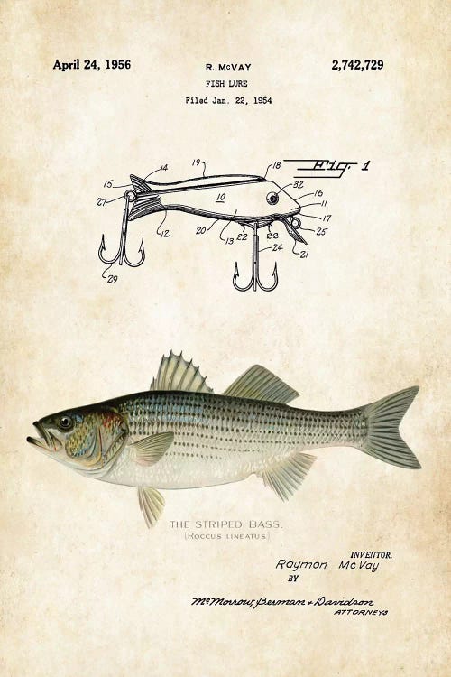 Striped Bass Fishing Lure by Patent77 wall art