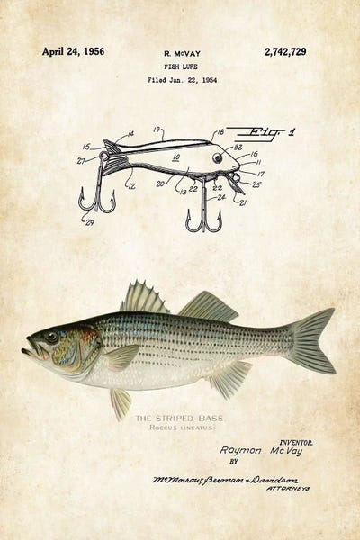 Striped Bass Fishing Lure
