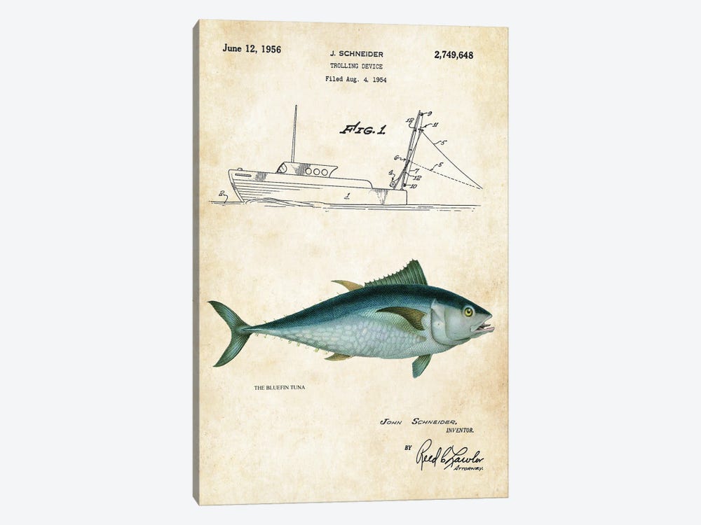 Bluefin Tuna by Patent77 1-piece Canvas Wall Art