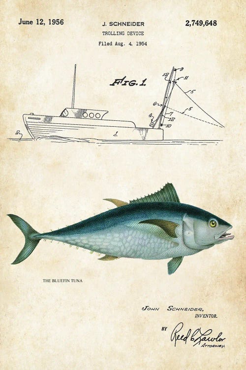 Bluefin Tuna by Patent77 wall art
