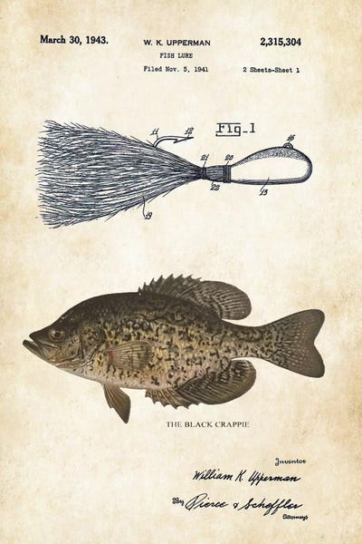 Black Crappie Fishing Lure by Patent77 framed wall art