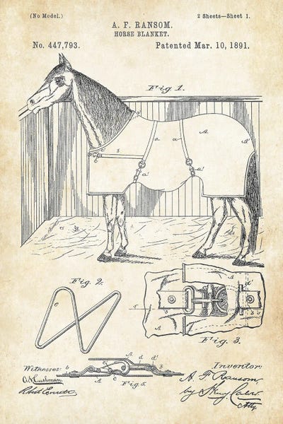 Horse Blanket by Patent77 canvas print