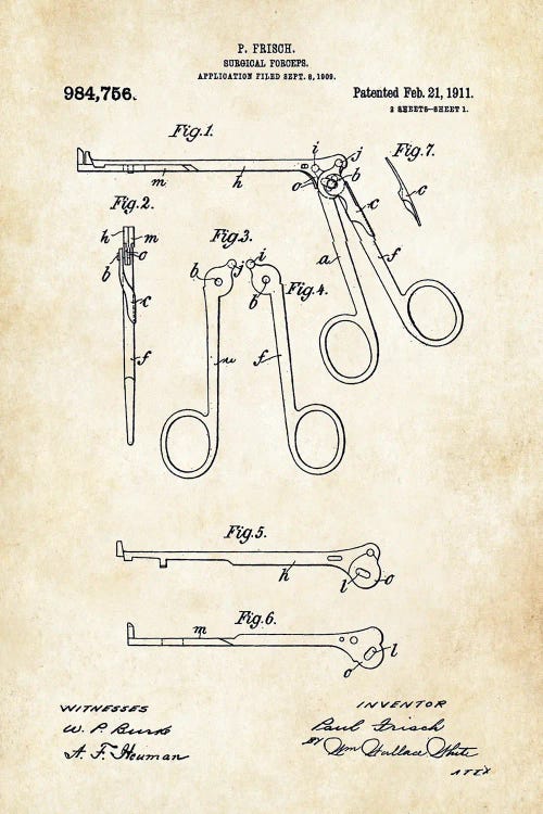 Surgical Foreceps