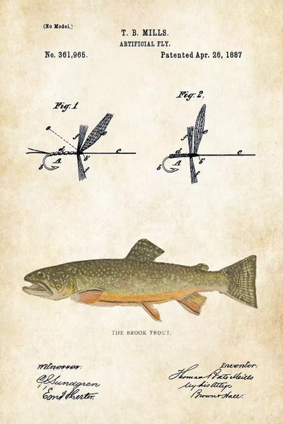 Trout: Brook Trout Fishing Lure by Patent77
