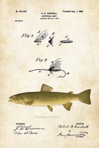 Trout: Brown Trout Fishing Lure by Patent77